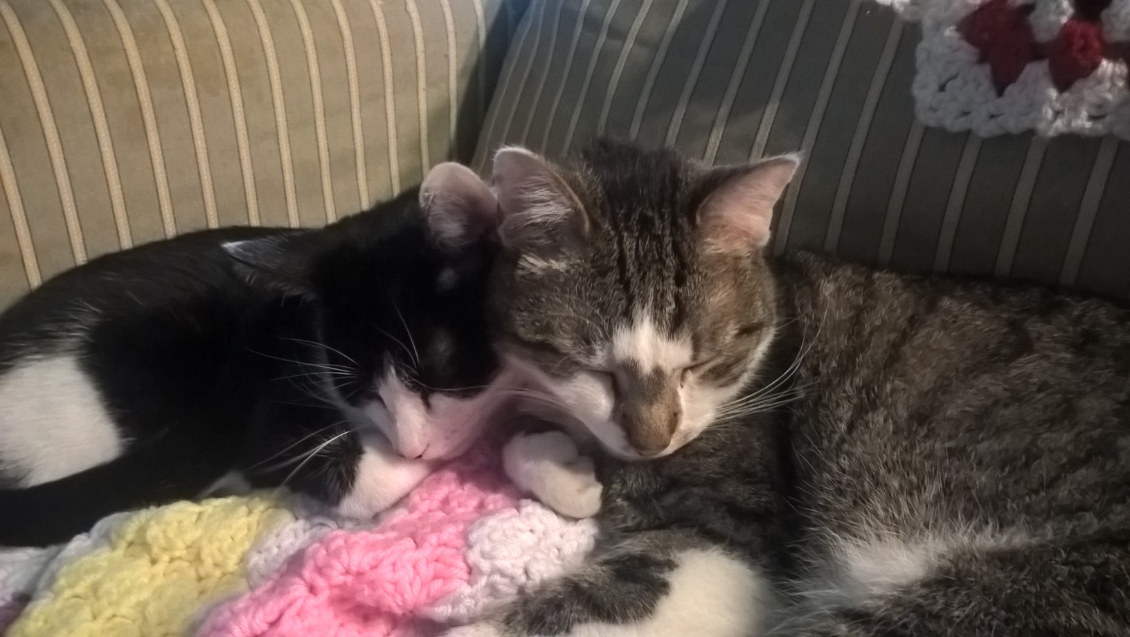 WP_20180922_10_52_12_Pro