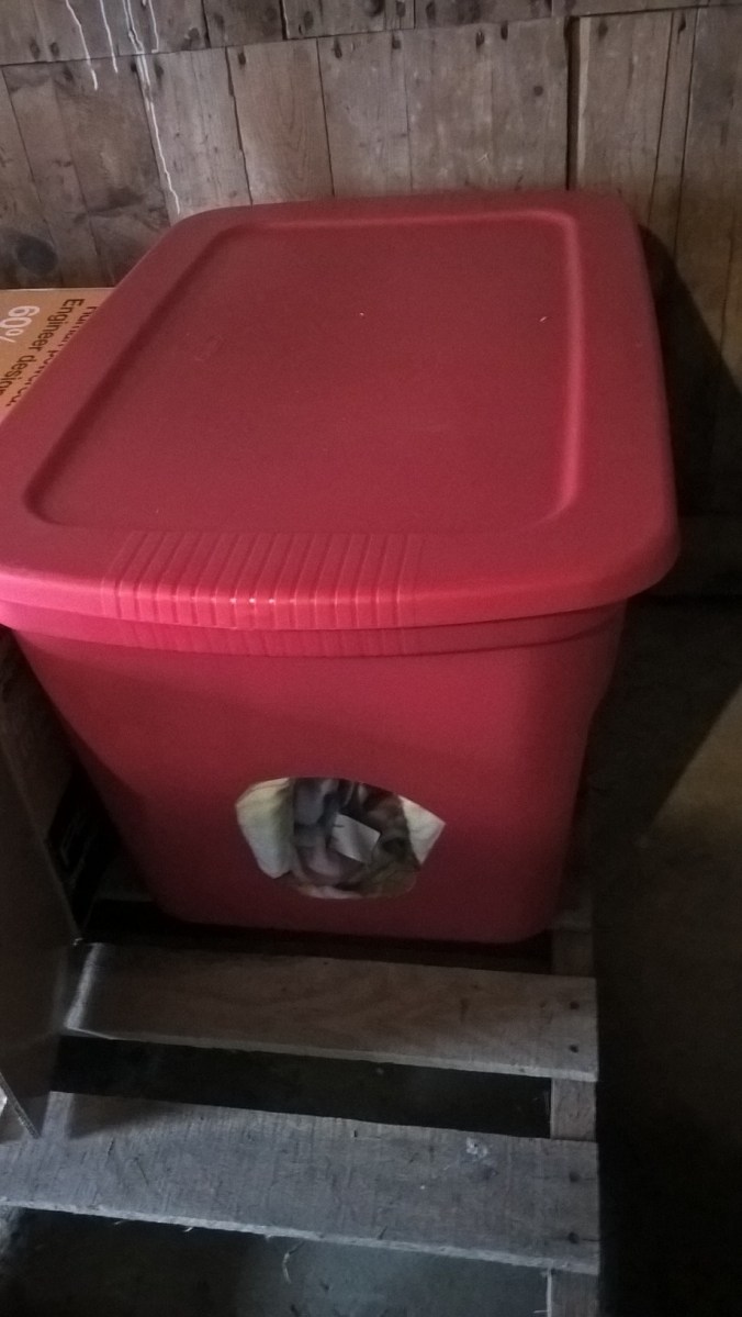 WP_20181201_10_02_37_Pro