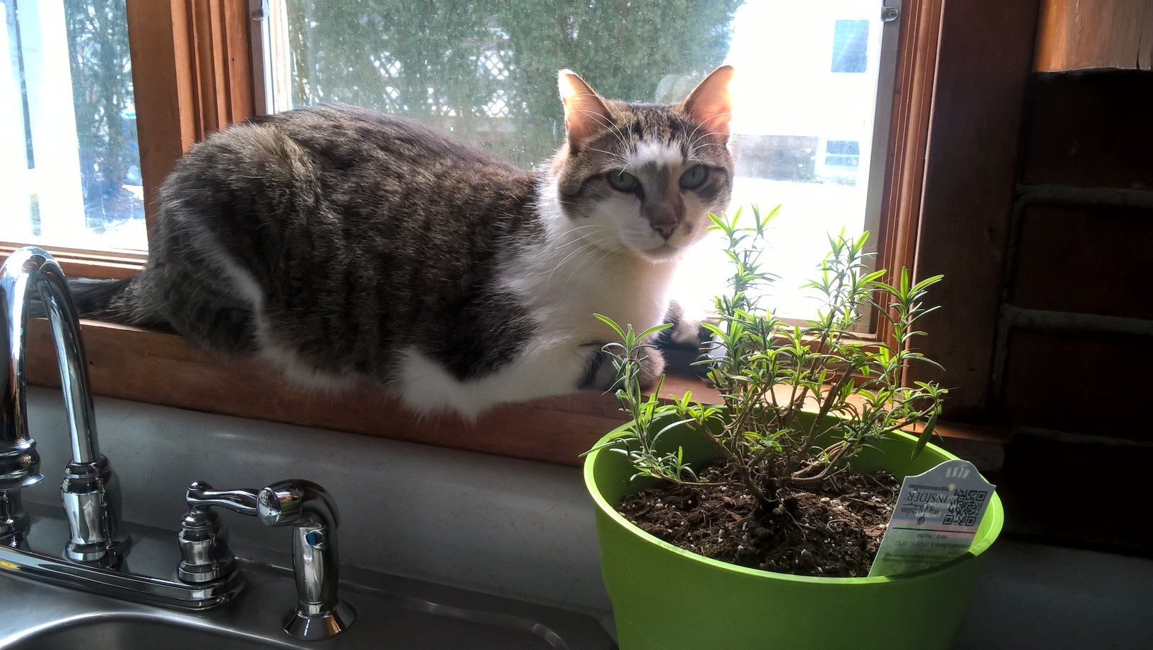 WP_20190324_11_34_06_Pro