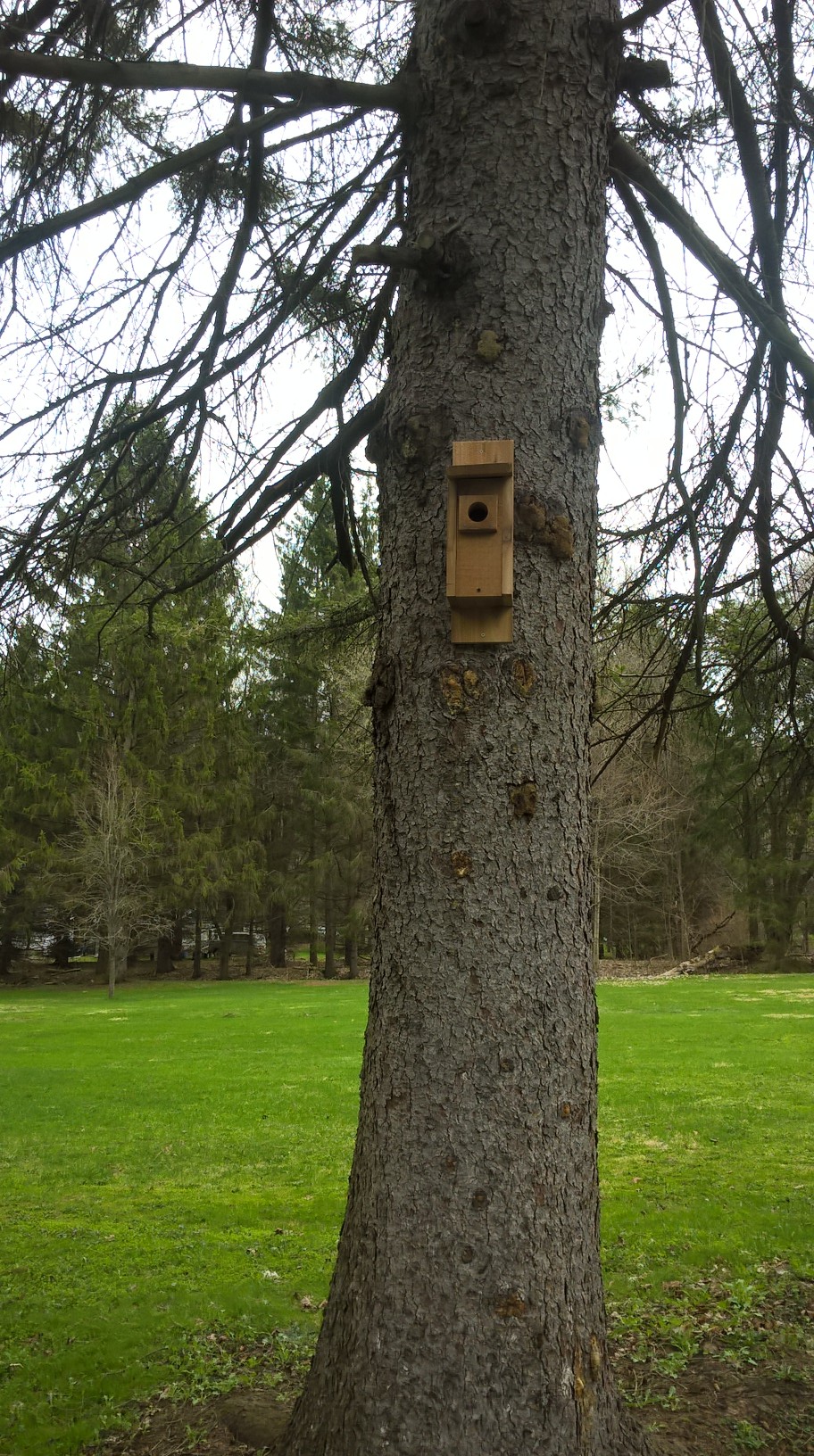 WP_20190421_12_00_51_Pro