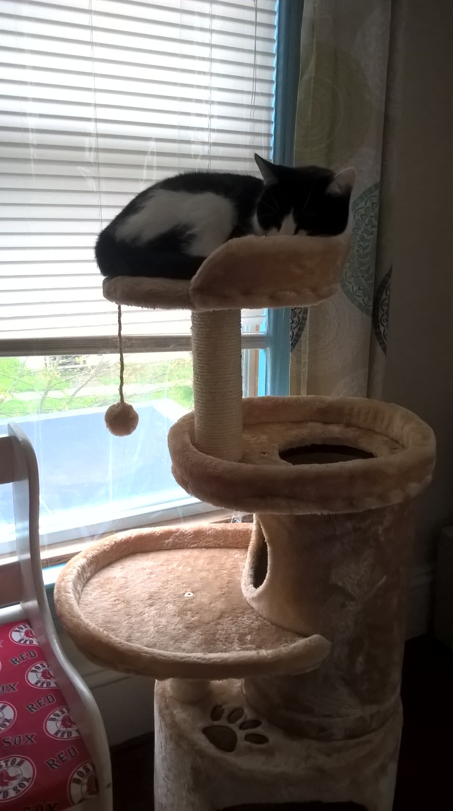 WP_20190504_15_32_34_Pro