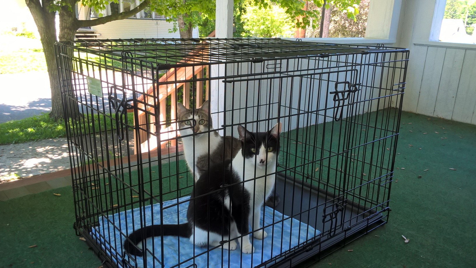 WP_20190608_12_54_15_Pro