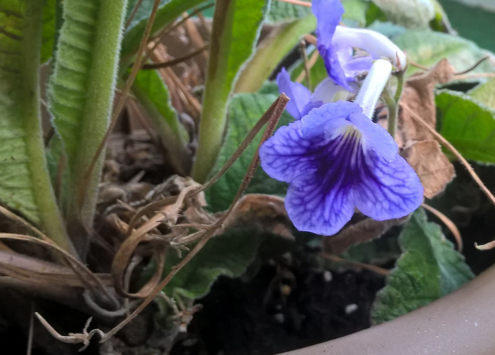 WP_20190617_18_37_53_Pro